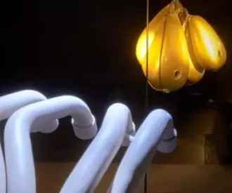 Cabosanroque con El Niño de Elche