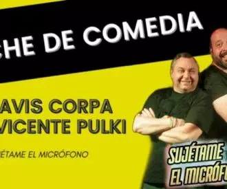 Vicente Pulki