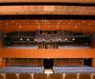 Teatro Auditorio Emilio Martinez Saez