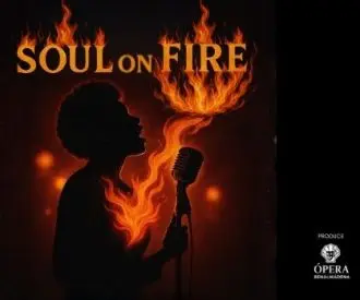 Soul on Fire