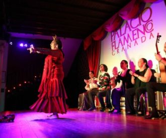 Espectáculo en el Tablao Palacio Flamenco