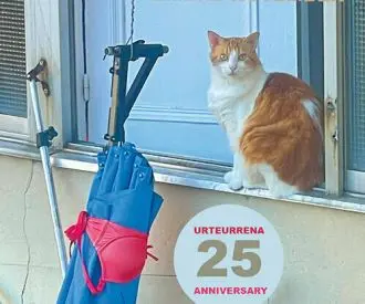 Festival MEM 25 años