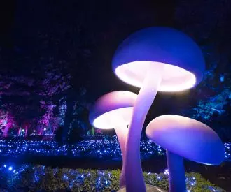 Jardines Torre Girona de Pedralbes