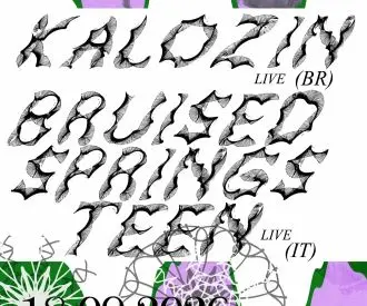 Bruised Springsteen + Kalozin
