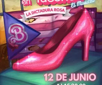 Elecciones en Tacones - la Dictadura Rosa