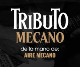 Tributo Mecano por Robin Torres