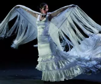 Compañía de Mercedes Ruiz