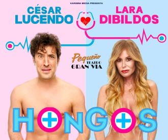 Hongos