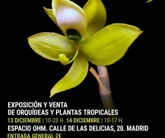 ExpOrquídea