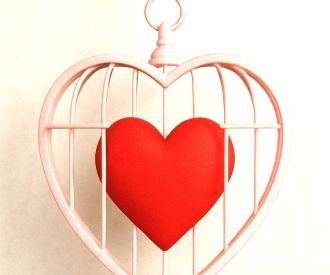 Patio de Sombras - Mikrópera