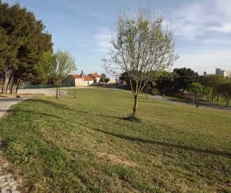 Parque da Bela Vista