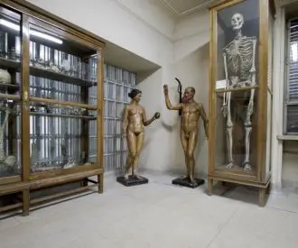 Museo Anatomía Javier Puerta
