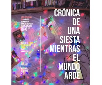 Crónica de una Siesta Mientras el Mundo Arde