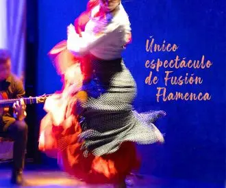 Flamenco - Teatre Sans