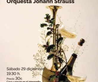 Concierto gala de Navidad