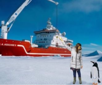 La pingüina viajera