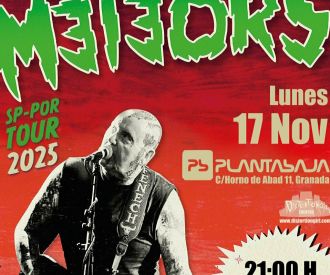 The Meteors