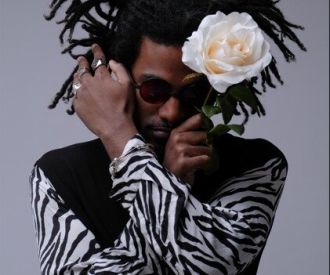 Todos los Palos del Monte