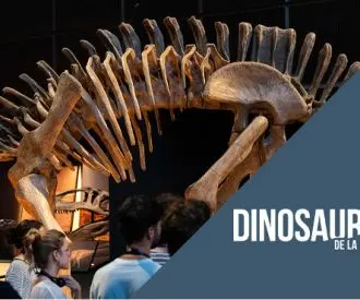 Dinosaurios de la Patagonia