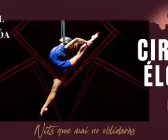 Cirque Éloize