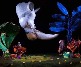 Esperta ó Rinoceronte - Compañía nao Caracola