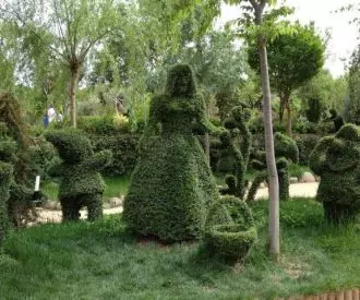 El Bosque Encantado - Parque Jardín Botánico