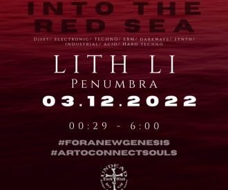 Into the red sea - Electronic Party