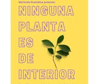 Ninguna Planta es de Interior