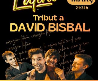 Tribut a David Bisbal