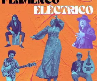 Flamenco Eléctrico