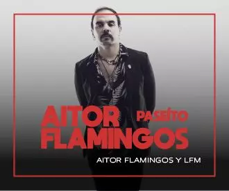 Aitor Flamingos