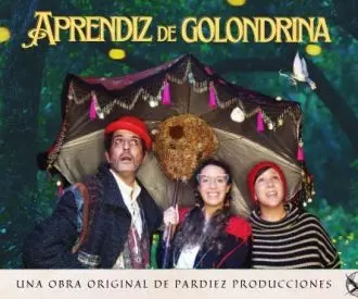 Aprendiz de Golondrina