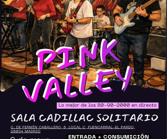 Pink Valley - Tributo 80s-90s-00s