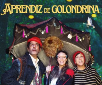 Aprendiz de Golondrina