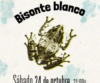 Bisonte Blanco
