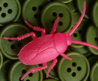 Cucaracha de Julián Fuentes Reta