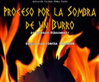 Proceso por la Sombra de un Burro