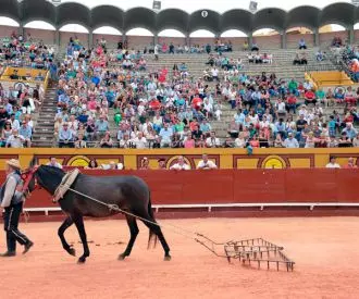Plaza de Toros Las Palomas