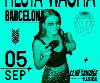 Fiesta Wacha X Sidecar