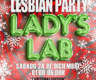 Lady's lab Christmas
