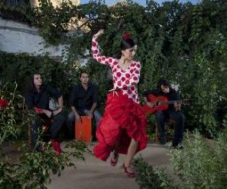 Flamenco Jardines de Zoraya