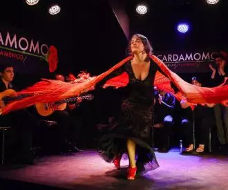 Cardamomo Tablao Flamenco