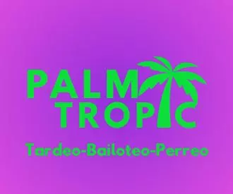 La Palm Tropic - Tardeo