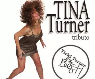 Tina Turner Tributo  -  Vicki Turner & The Best