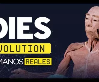 Bodies Evolution