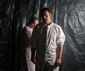 Experimento Gore