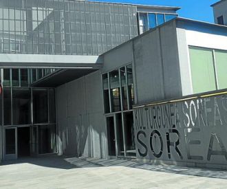 Dinamoa Sormen gunea