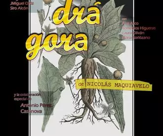 Mandrágora