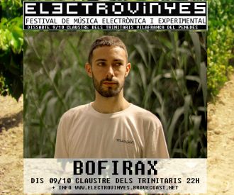 Electrovinyes Festival