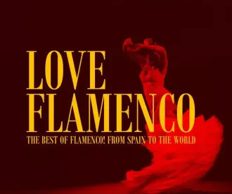 Love Flamenco